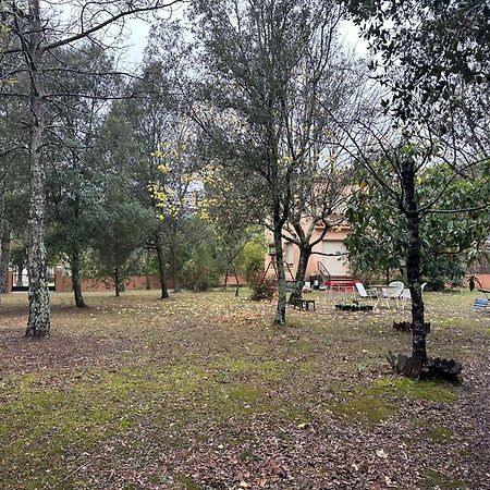 Albanya Casa Triano Entre Montanas, Rio Y Cielo De Estrellas מראה חיצוני תמונה
